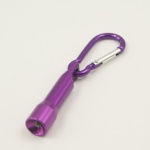 Carabiner LED Light